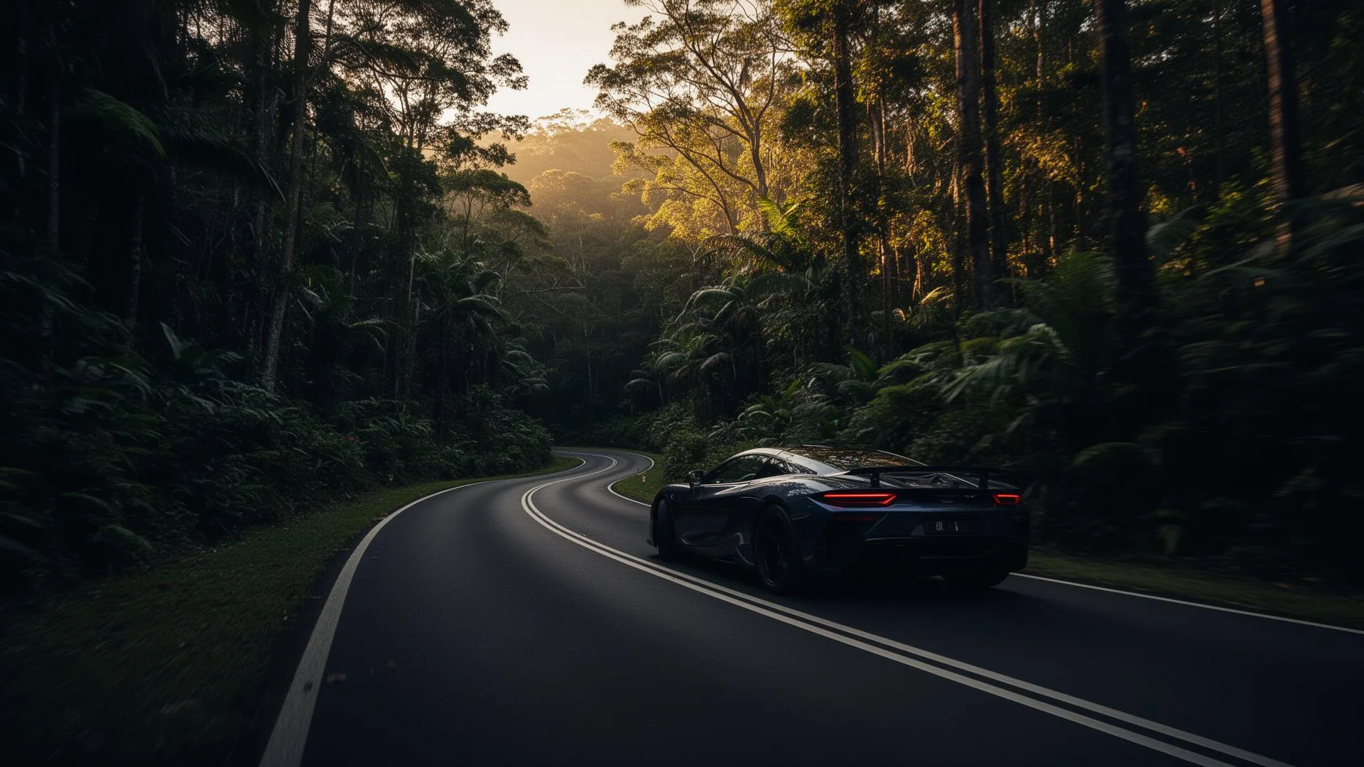 Best Scenic Drives Near Brisbane in a Luxury Car